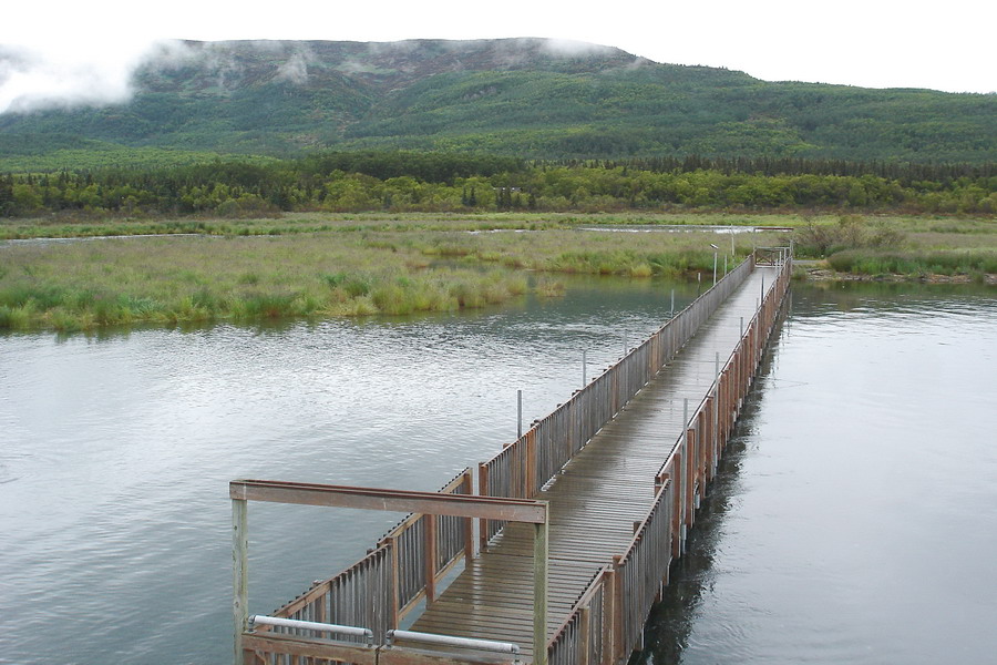 Alaska Katmai  35  1123