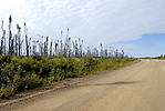 Eagle Plains à Kondile Highway_107