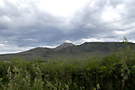 Eagle Plains à Kondile Highway_54