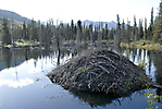 Eagle Plains à Kondile Highway_88