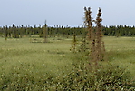 Inuvik à Eagle Plains_17