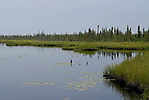 Inuvik à Eagle Plains_36