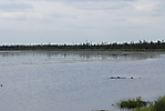 Inuvik à Eagle Plains_37