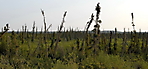 Inuvik à Eagle Plains_6