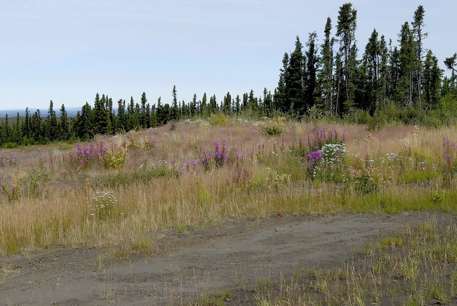 Site DEMPSTER HWY 0228 redimensionner